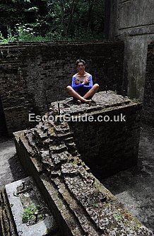 Companion 4 older execs