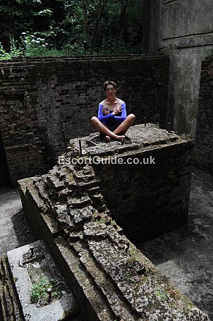 Companion 4 older execs Escort in London