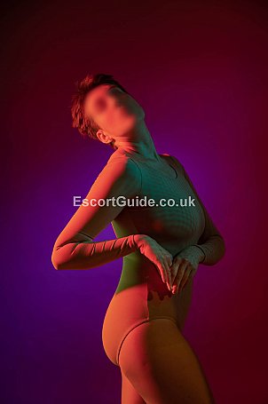 Companion 4 Execs Over 35 Escort in London