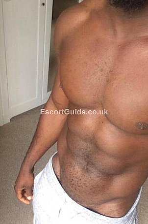 XXL Hung Bi Stallion Escort in Manchester