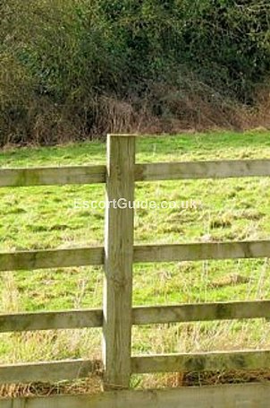 OUTCALLS ONLY Escort in Heathrow