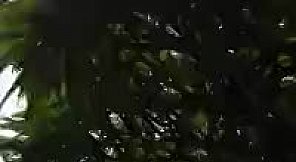 ALEXANDRA Escort in London